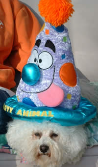 1st Birthday Themes